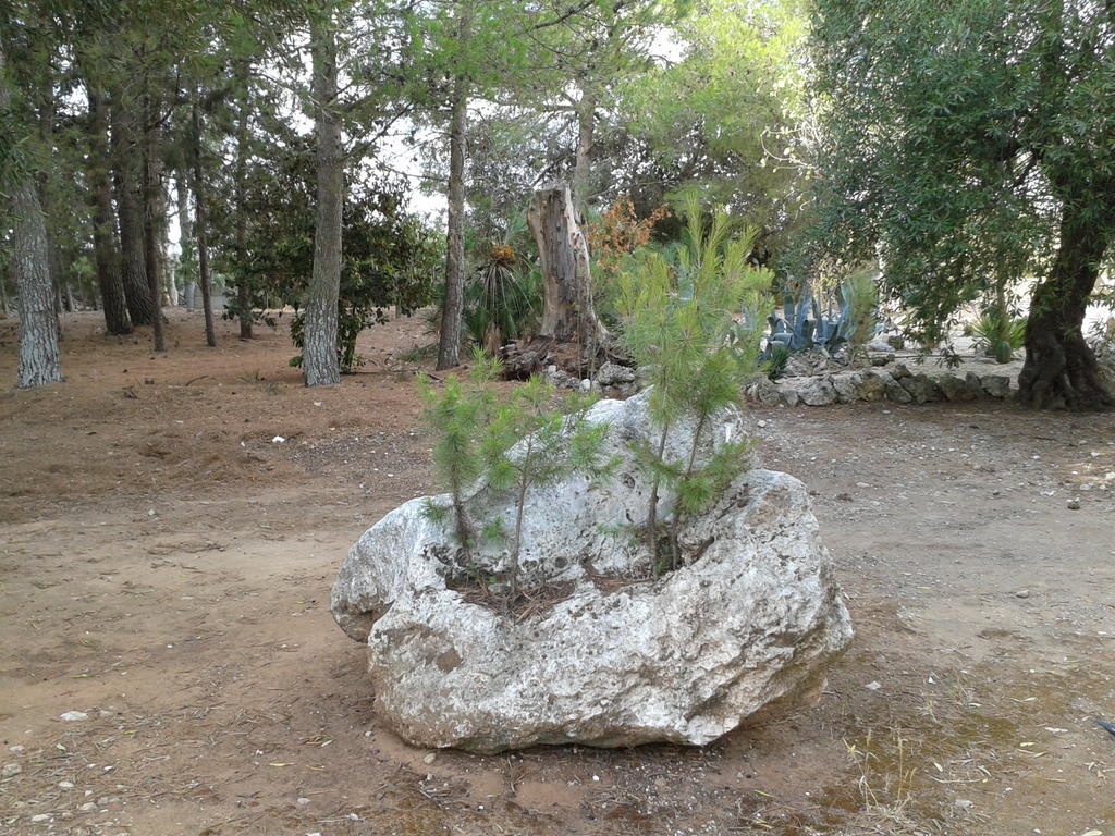 Tenuta La Spezia Carpignano Salentino Exterior foto