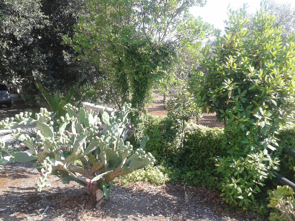 Tenuta La Spezia Carpignano Salentino Exterior foto